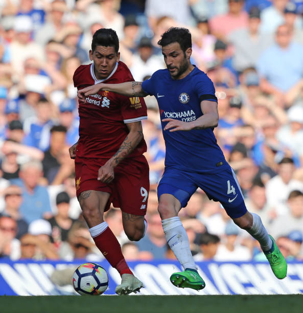 造一个培育 造一个培育